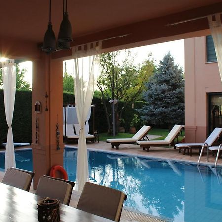 4-Seasons Pool Villa Near Meteora Tríkala Kültér fotó