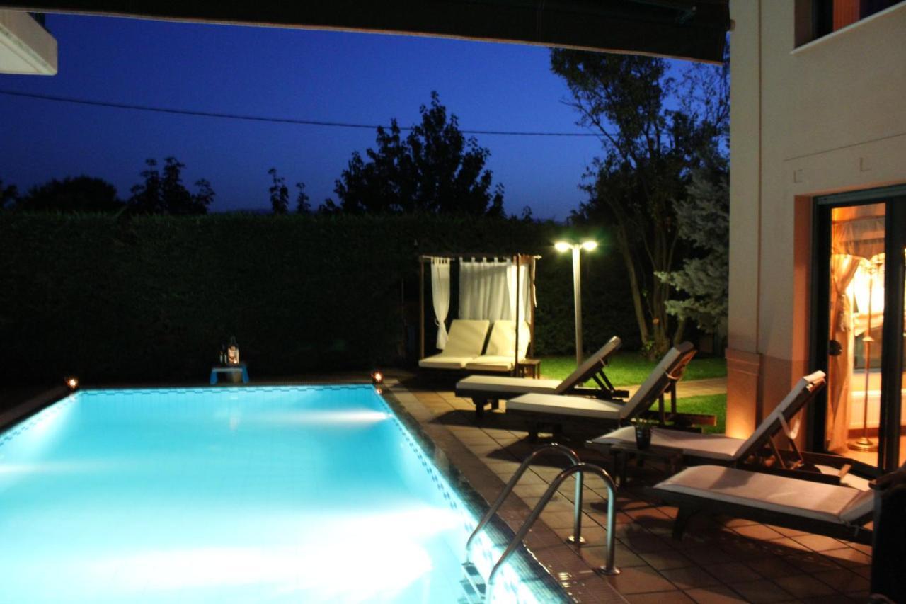 4-Seasons Pool Villa Near Meteora Tríkala Kültér fotó